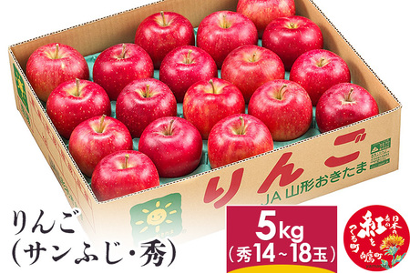 りんご (サンふじ・秀) 5kg 山形県産 フルーツ 果物 【2025年11月下旬-12月上旬発送予定】