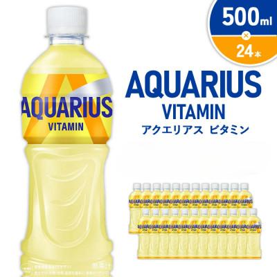 ふるさと納税 えびの市 アクエリアス ビタミン PET 500ml×24本 1ケース(えびの市)