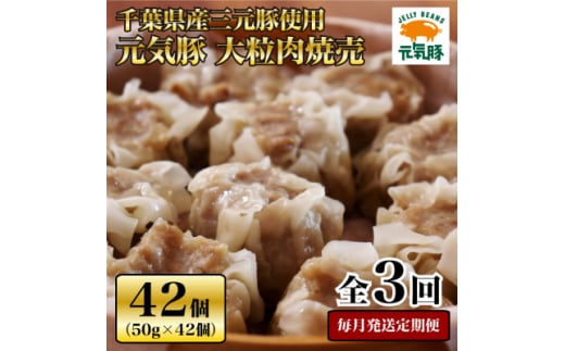 ＜毎月定期便＞元気豚 大粒肉焼売セット 42個セット(計2.1kg)全3回【4055281】