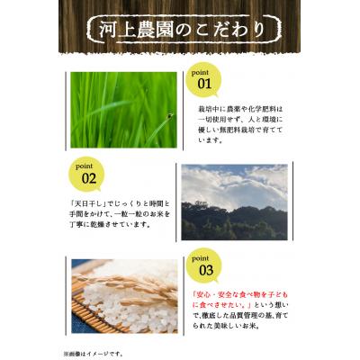 ふるさと納税 矢掛町 無肥料栽培ササニシキ白米 5kg(5kg×1袋)《30日以内に出荷予定(土日祝除く)》 |  | 03