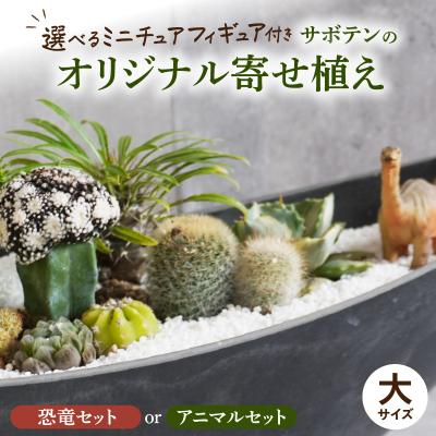 ふるさと納税 小牧市 サボテンのオリジナル寄せ植え(大)【アニマルセット】(観葉植物・多肉植物)[133O04-02]