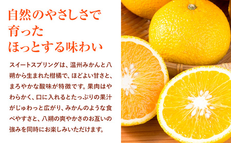 【先行予約】 みかん スイートスプリング 5kg 高橋商店《11月下旬-2月中旬頃出荷》熊本県 苓北町 柑橘 かんきつ 果物 フルーツ 送料無料 スイート スプリング