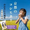 【ふるさと納税】《定期便6か月》特別栽培米コシヒカリ「おおきに大地米」10kg 令和6年産 お米 米 京都 京丹後 丹後 定期便 送料無料