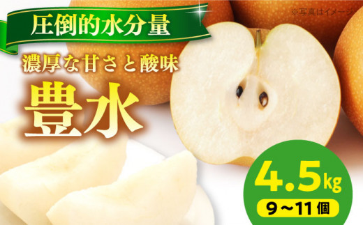 梨 【先行予約】【2026年9月上旬から順次発送】特選 豊水 梨4.5kg（9個から11個入り） ほうすい 旬 旬のフルーツ 甘い みずみずしい ジューシー 美味しい おいしい 大容量 特大 愛媛県大洲市/幸野観光なし園 [AGBD003] 先行予約 ナシ 梨 なし 新高 果物 くだもの フルーツ 愛媛県産 おすすめ 人気 お取り寄せ 送料無料 贈答 ギフト 大容量 秋 間食 おやつ デザート