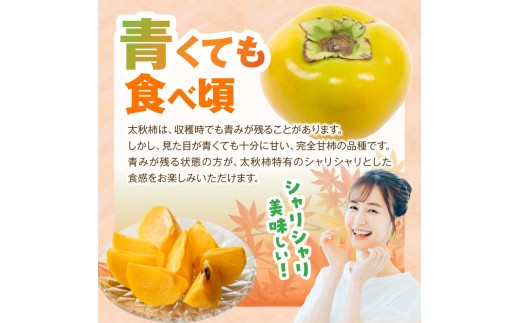 【先行受付】 訳あり 太秋柿 3kg こねり柿園こだわりの『よのちゃん太秋柿』 KNR0308