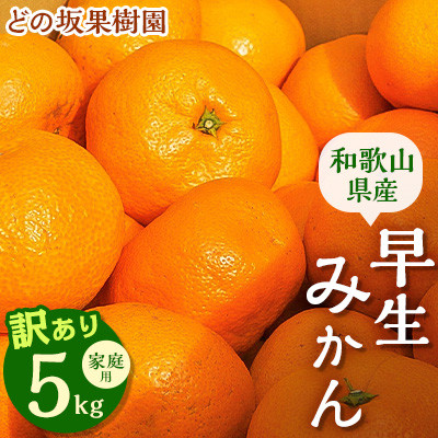 【先行受付】訳あり・ご家庭用　早生みかん　約5kg(大玉中心)【2025年12月中旬～順次発送】【配送不可地域：離島・北海道・沖縄】【1491580】