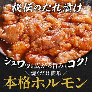 【訳あり】 極上霜降り 上トロホルモン 500g 秘伝のタレ付き ホルモン