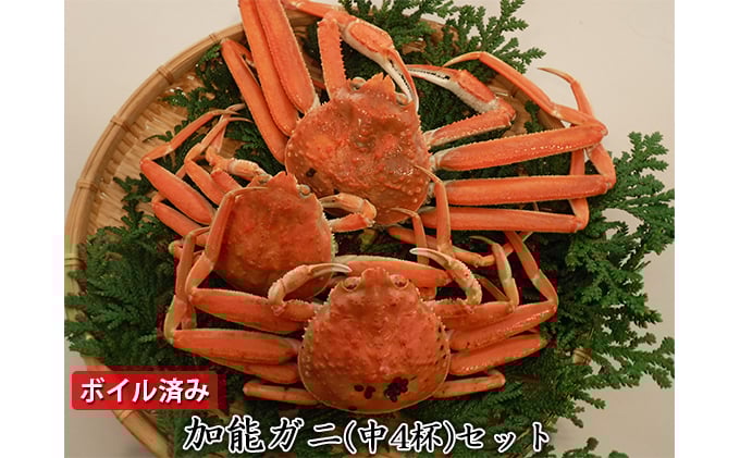 
            [№5984-0125]【納品日指定不可】加能ガニ（中4杯）セット　ボイル済み
          