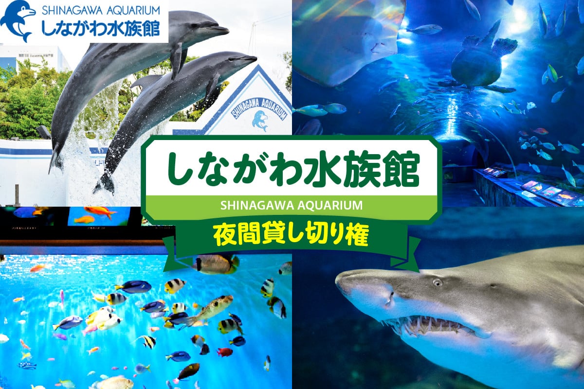 
            しながわ水族館夜間貸し切り権
          