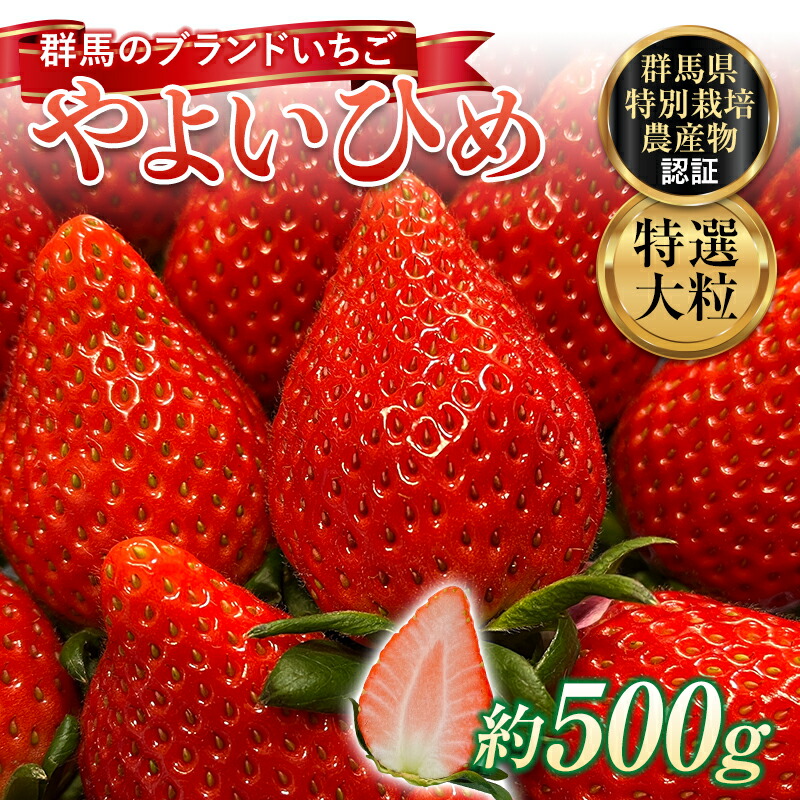 特選大粒 ブランドいちご「やよいひめ」朝摘みでお届け！500g イチゴ 苺 果物 フルーツ くだもの デザート ケーキ作り 群馬県 渋川市  F4H-0160