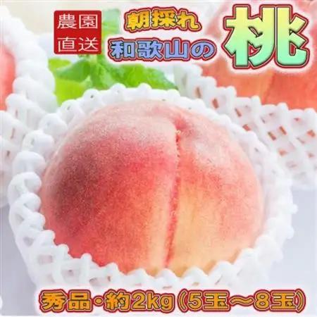 【農園直送】朝採れの和歌山の桃　約2kg・秀品【2027年度発送分】(日高町)【配送不可地域：離島・北海道・沖縄県】【1218058】