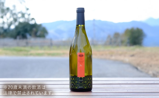 ワイン 奥出雲葡萄園 杜のワイン白? ?国産 ワイン セット 白ワイン 1本 単品 750ml やや甘口 スッキリ 飲みやすい お酒 酒 アルコール 日本ワイン 国産ワイン 地ワイン お取り寄せ 贈り