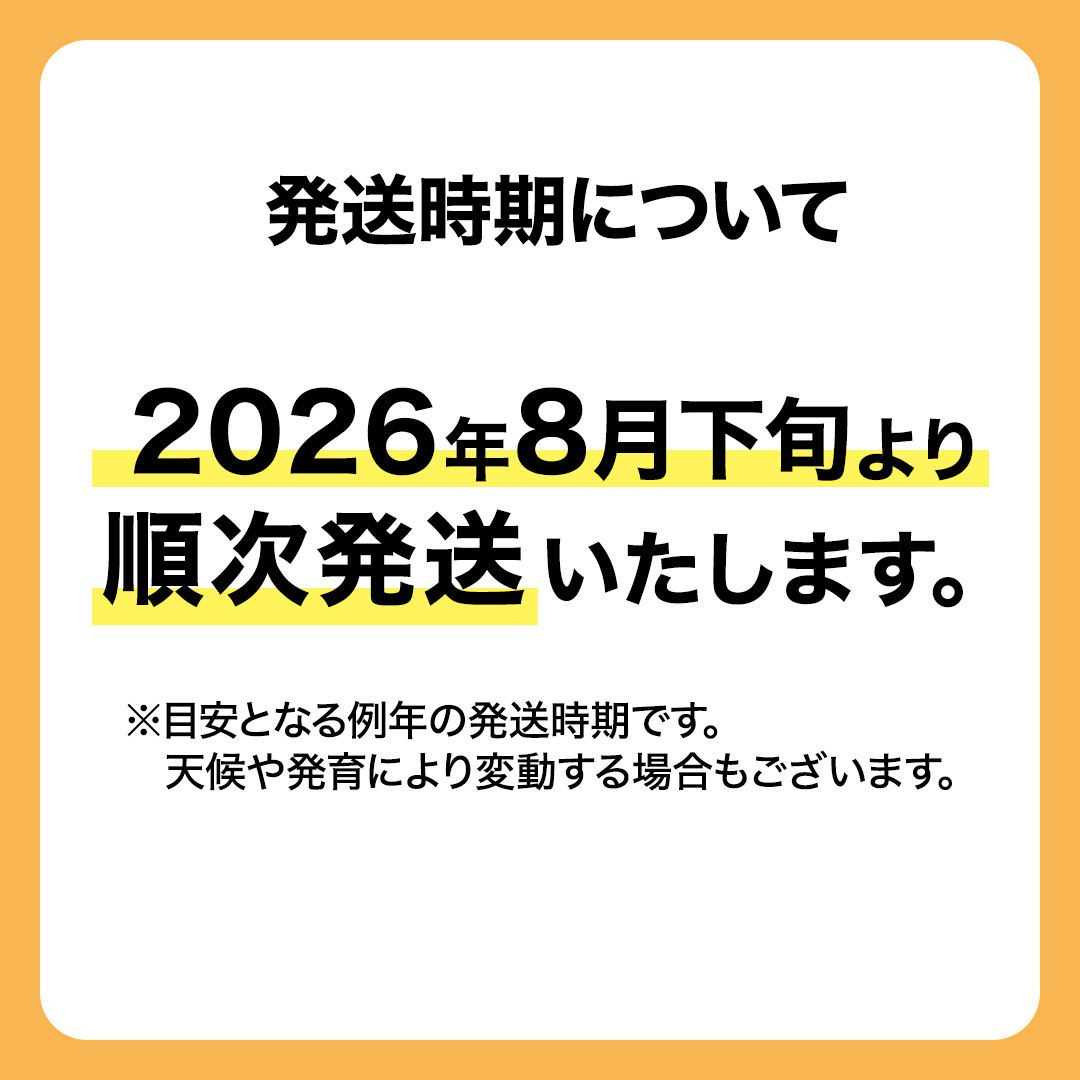 豊水 超大玉 約 3kg 3～4玉 (茨城県共通返礼品:かすみがうら市) 2026年 マスカット ぶどう 葡萄 ブドウ フルーツ 果物 くだもの 旬 食べ比べ セット 詰め合わせ 国産 産地直送 ギフ
