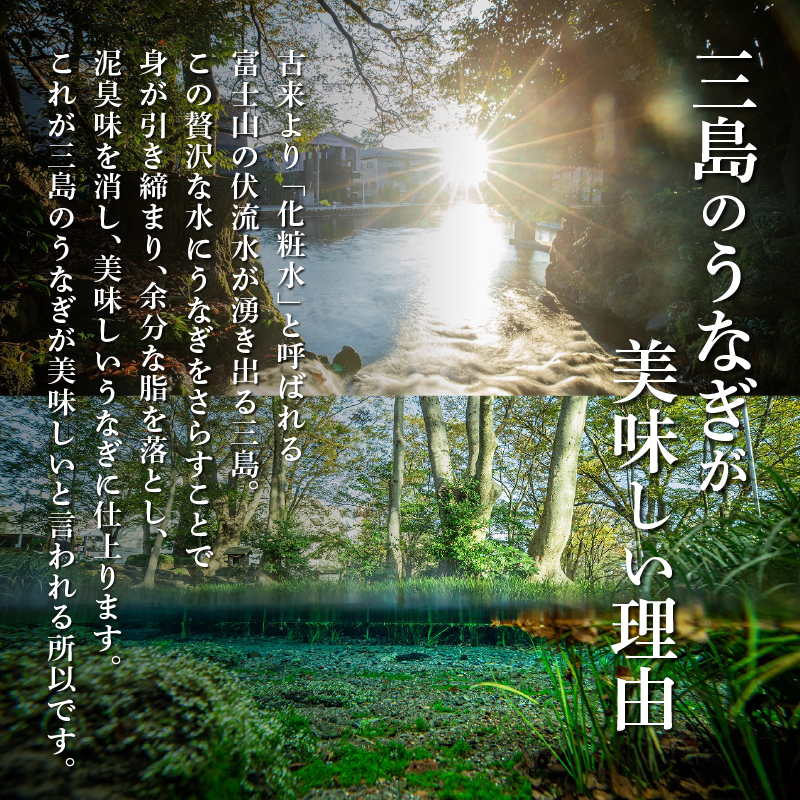 静岡 名産 うなぎ 蒲焼 7人前 840g 冷蔵 三島名物 老舗 うなぎ屋 真空パック 御殿川 土用丑の日 晩ごはん 家族 惣菜 鰻 ウナギ 蒲焼き うな重 ウナジュウ 贈り物 ギフト グルメ 鰻料理