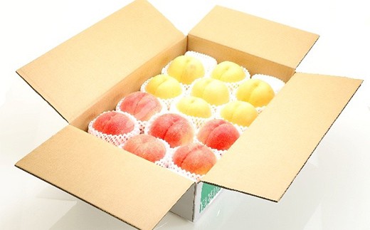 秋実り 硬めの白桃と黄桃食べ比べ 3kg 秀品 FSY-2751