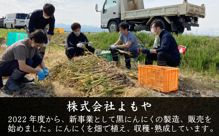 定期便 ≪6ヶ月連続お届け≫ 止まらなくなるほど美味しい！波動熟成 黒にんにく『玄』 500g × 6回 計3kg [F-15302]