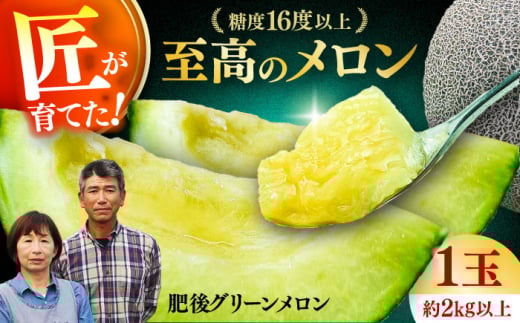 【先行予約】 【数量限定】 山鹿の恵み! 匠の育てた　肥後グリーン メロン 約2kg以上（約2kg以上×1玉）【きもと農園】 [ZFQ002]