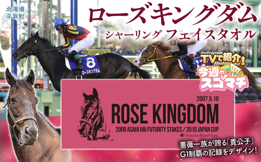 
                  【ローズキングダム】シャーリングフェイスタオル 【ふるさと納税 人気 おすすめ ランキング 馬 競馬 競走馬 引退馬 ローズキングダム タオル シャーリングタオル 生活用品 日高 北海道 平取町 びらとり 送料無料】 BRTV254
                