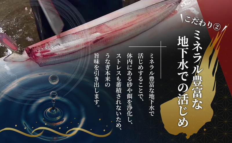 うなぎ 国産 浜松 浜名湖 白焼き 2本入×2 セット 蒲焼 タレ 配送不可：離島 土用の丑の日 丑の日 浜名湖産 静岡 惣菜 ウナギ 魚 魚介類 魚介 