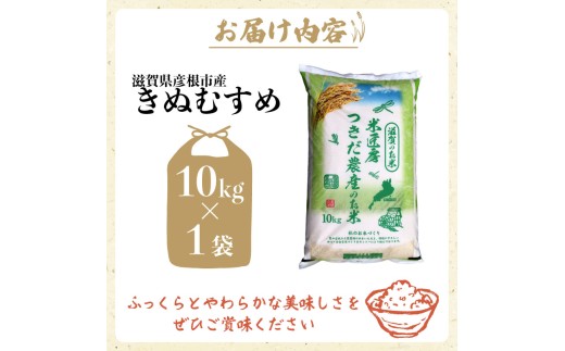 令和8年産 きぬむすめ 白米 10kg ひこにゃん米 米 コメ お米 10キロ 米10kg ご飯 ごはん キヌムスメ おにぎり お弁当 滋賀 彦根