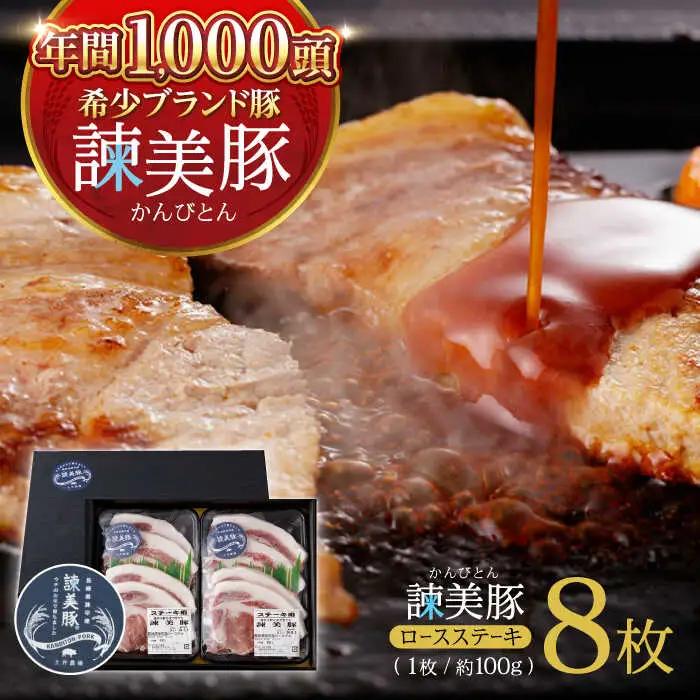 諫美豚ロースステーキ100g×8  AHAD045 豚ロース