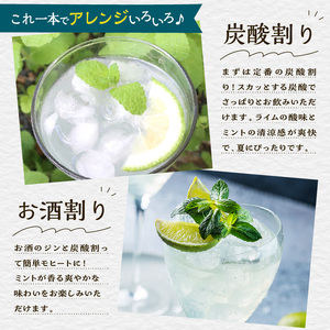 クラフトシロップライムミント 2本 果汁 シロップ ライム 割材 