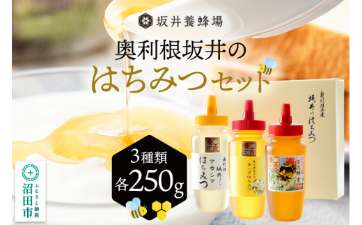 
奥利根坂井のはちみつセット（アカシア・百花・キハダ）各250g 坂井養蜂場
