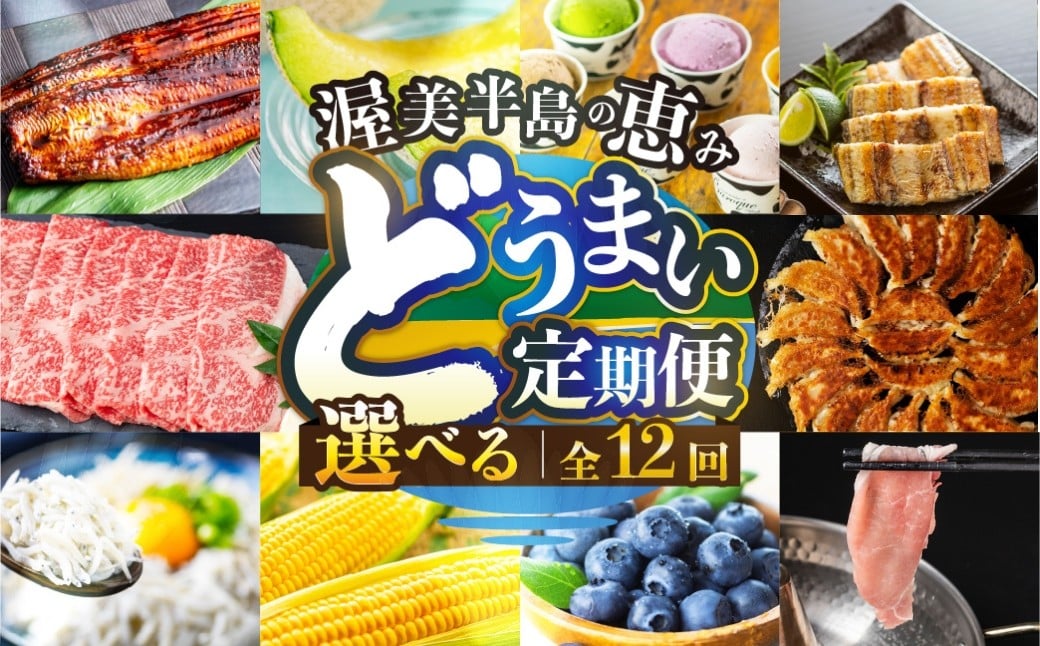 
            渥美半島 どうまい 定期便 12回 ＼高評価／ おまかせ フルーツ 海鮮 果物 いちご みかん うなぎ 肉 豚肉 メロン しらす 餃子 ジェラート とうもろこし 焼き鳥 蒲焼 12ヶ月 1年 鰻 野菜 高評価 人気 肉 魚 田原市 定期便 どうまい 名古屋コーチン うなぎ 白焼き アイス しゃぶしゃぶ 豚肉 名古屋コーチン 鶏肉 牛肉 蒲焼 
          