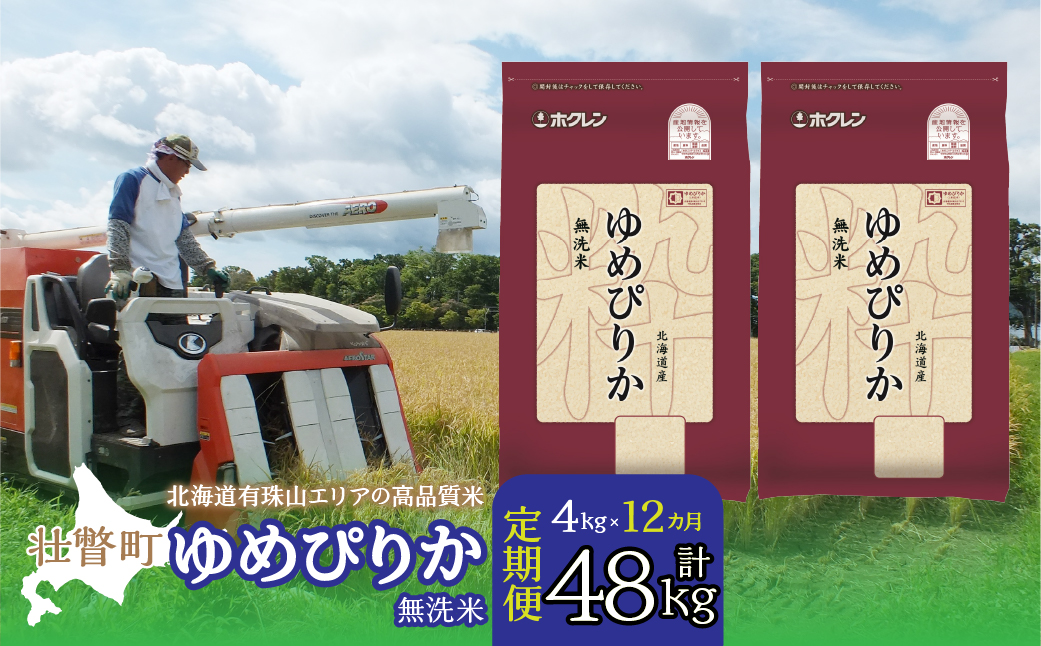 【令和6年産 1年定期配送】（無洗米4kg）ホクレンゆめぴりか（無洗米2kg×2袋） SBTD052