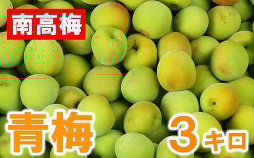 
            ひらそ農園の青梅 3kg 梅 南高梅 青梅 梅干し 梅酒 梅干 梅シロップ 梅ジャム 3キロ 数量限定 先行予約 6月 ＜004-006＞
          