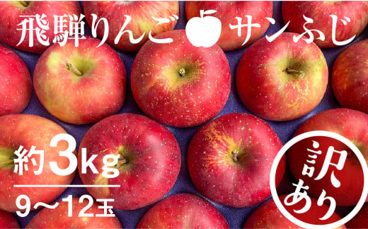 【11月下旬から1月上旬発送】《訳あり》りんご サンふじ 約3kg 9～12玉 飛騨りんご 林檎 黒内果樹園 果物 国産 飛騨産 ご家庭用 家庭用 無袋栽培 syun35 1万円