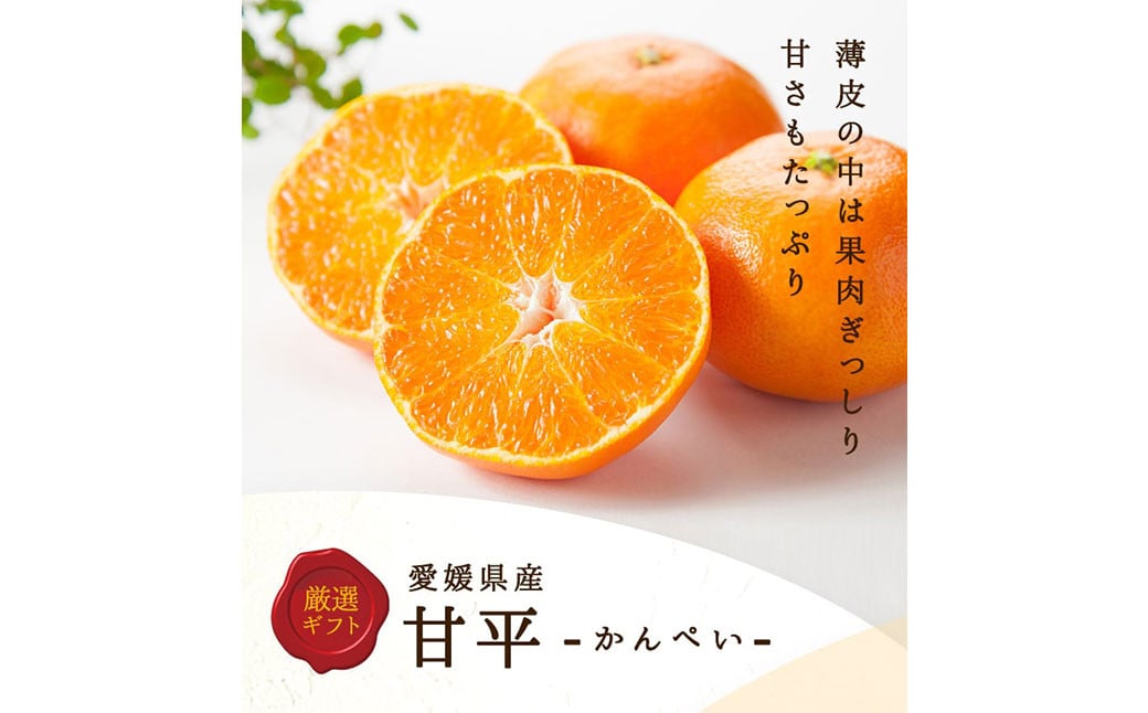 甘平 5L～L 約3kg かんぺい カンペイ みかん ミカン 蜜柑 果物 くだもの フルーツ 柑橘 【2025年1月下旬-3月上旬発送予定】（824）