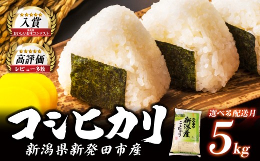 【2026年8月発送】 令和7年産 特別栽培米 コシヒカリ 5kg 特栽米 新潟県産コシヒカリ 新発田産 新潟 米 アグリ中俵 新潟県 新発田市 nakatawara001_02_202608