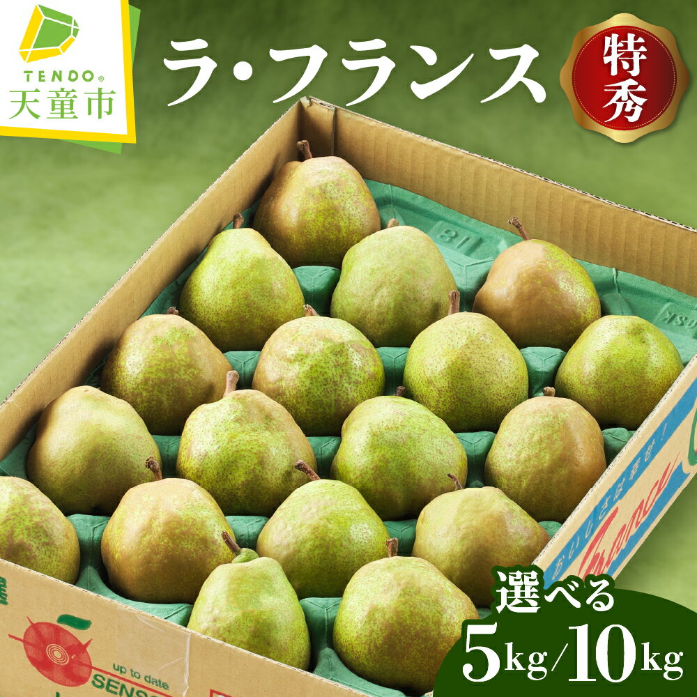 【ふるさと納税】 ラ・フランス ( 選べる ： 5kg / 10kg ) 令和8年産 先行予約 2026年 特秀 (12～20玉) ラフランス 洋梨 西洋梨 果物 フルーツ ご家庭用 のし 贈答 ギフト プレゼント お取り寄せ 旬 秋 冬 期間限定 産地直送 送料無料【 山形県 天童市 】