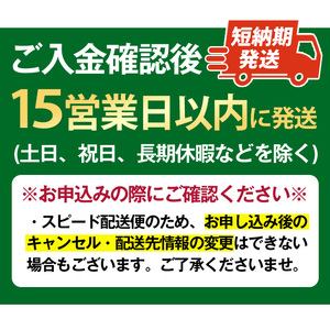 ラーメン 袋ラーメン セット 一蘭 ちぢれ麺  スープ 1人暮らし 計20食