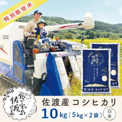 ふるさと納税 佐渡市 佐渡島産コシヒカリ 白米10Kg(5Kg×2袋) 土屋農園 農家直送 令和7年産 特別栽培米