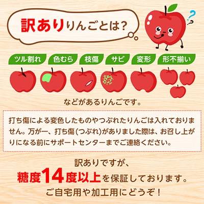 「王林」約3kg・糖度14度以上保証・訳あり家庭用りんご【配送不可地域：離島・沖縄県】