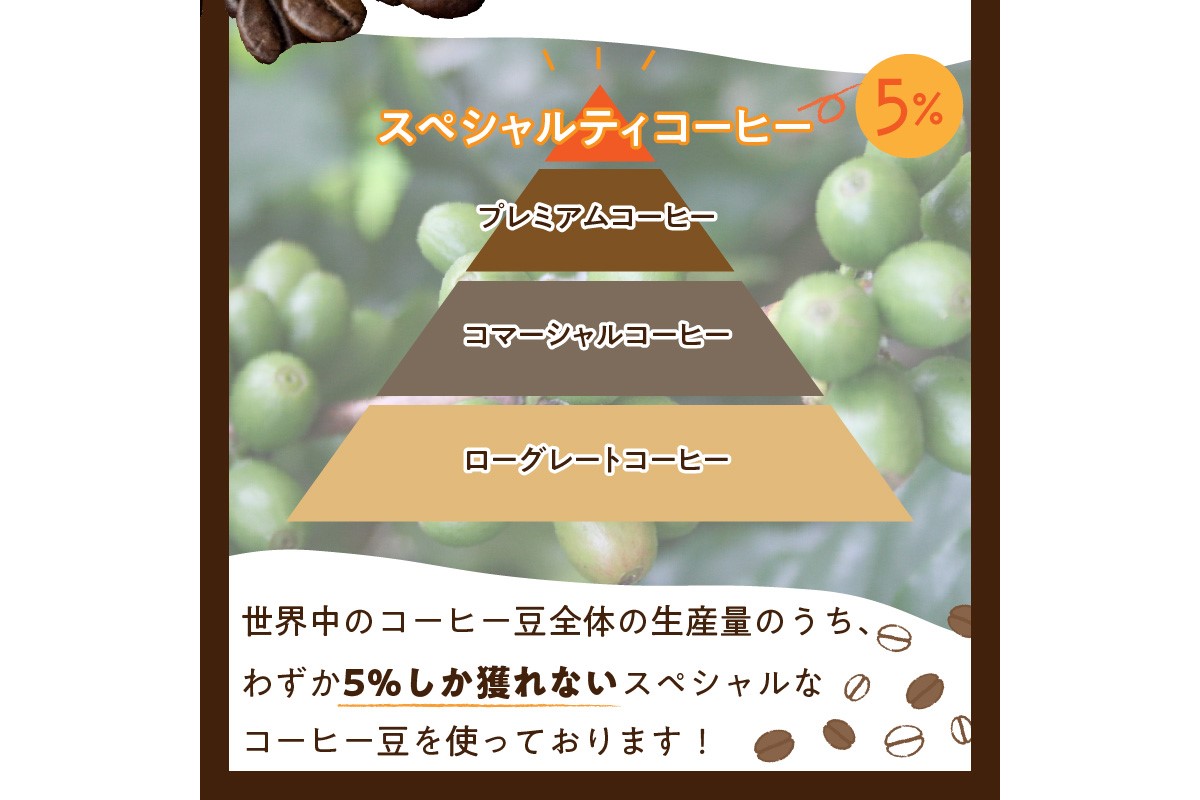 5種類から２つ選べる　 自家焙煎コーヒー豆　お試しセット　300ｇ（約30杯分）挽き方が選べる　八月の犬 飲料 珈琲 こーひー コーヒー coffee　HA00020