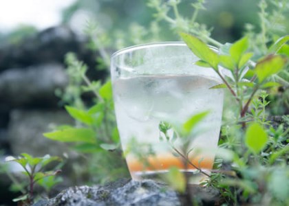 島仕込みクラフトコーラシロップ「TOBA TOBA COLA」310g