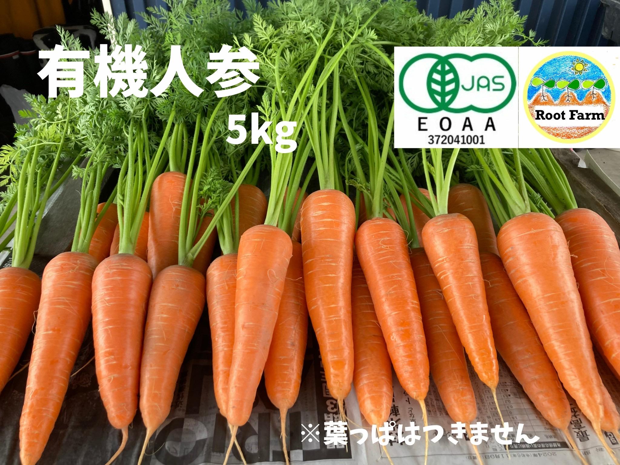 【ふるさと納税】Root Farmの冬季限定　有機JAS認証の人参約5kg（12月〜2月頃まで）