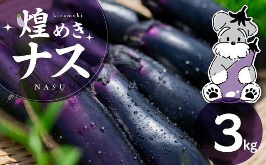 煌めきナス 3kg