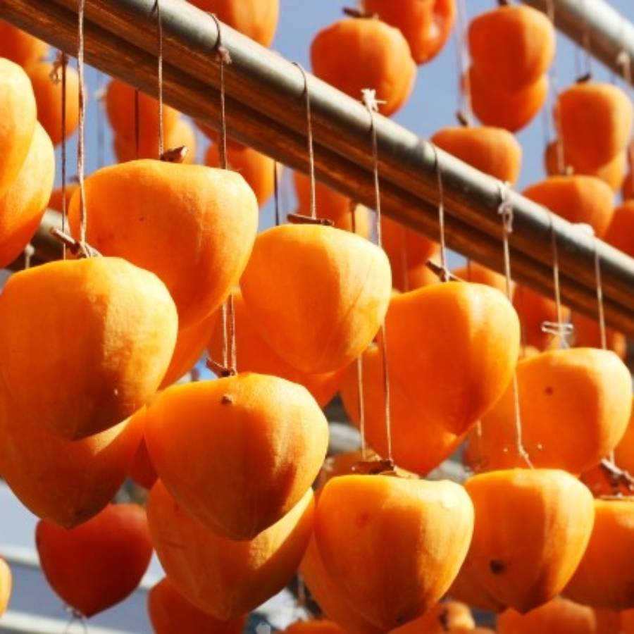 笛吹市産石和町広瀬の枯露柿6玉400g