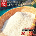 【ふるさと納税】米 定期便 10kg 選べる回数 3ヶ月 6ヶ月 12ヶ月 30kg 60kg 120kg コシヒカリ 佐伯の里の源流米 希少 農家直送 令和6年産 新米 令和7年産 予約 白米 10キロ 3回 6回 12回 低農薬米 減農薬米 こしひかり 生活応援※北海道・沖縄・離島の配送不可 発送月選択