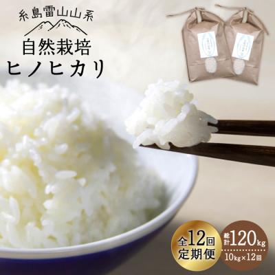 ふるさと納税 糸島市 【 全12回 定期便 】 自然栽培 ヒノヒカリ 10kg 糸島市/大石ファーム [ATE022]