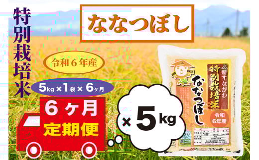 【定期便6回】北海道奈井江町　特別栽培米　ななつぼし　5kg