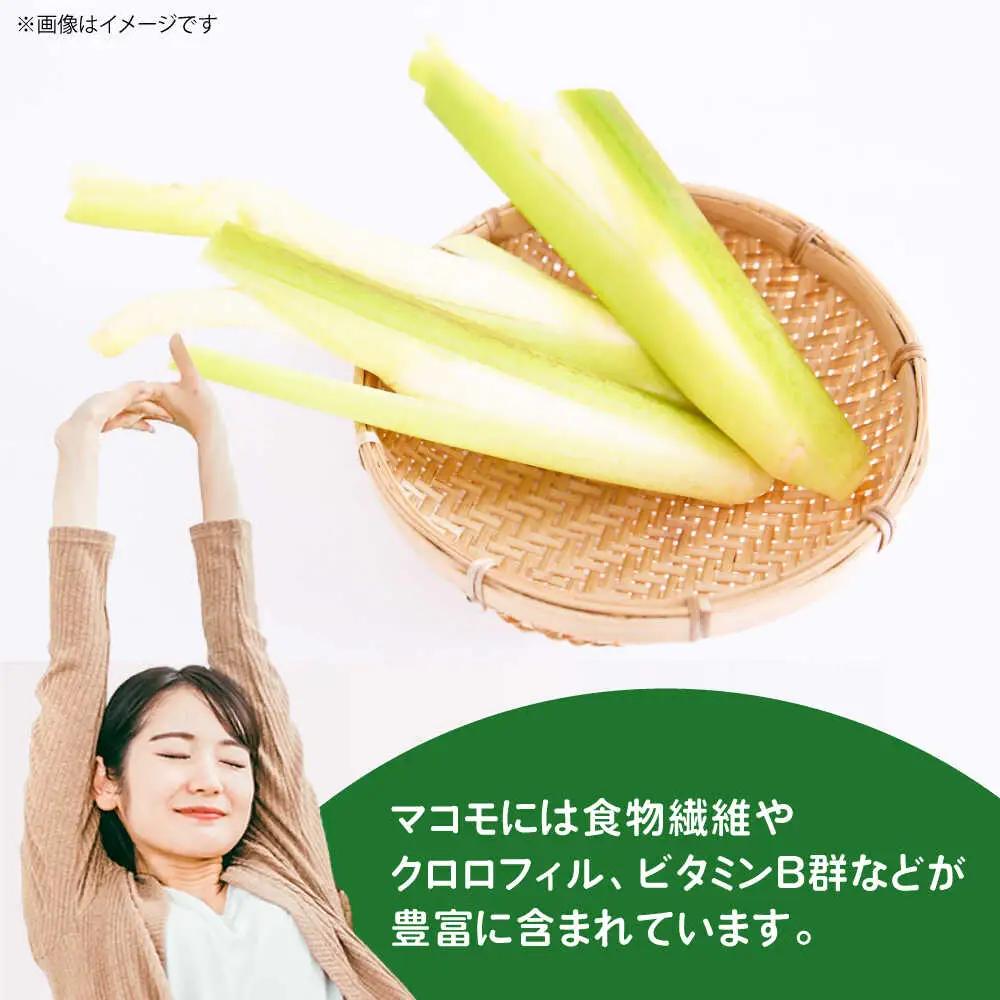 ハーブティー 体をきれいにデトックス！まこも入りハーブティー まこもはれやかブレンド ティーバック ギフト 腸活 大阪府高槻市/NPO法人フェルマータ[AOBA005]