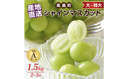 ≪2025年先行予約≫山形県 高畠町産 シャインマスカット 箱詰 1.5kg(2~3房) 2025年9月下旬頃から順次発送 ぶどう ブドウ 葡萄 マスカット 大粒 種なし 高級 くだもの 果物 フルーツ 秋果実 産地直送 農家直送 数量限定 贈答 ギフト F21B-125