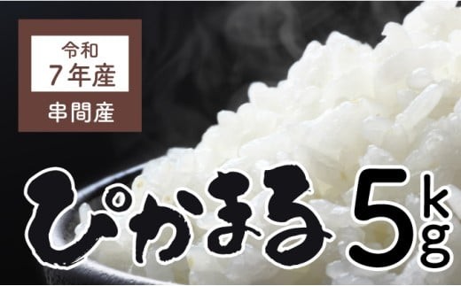令和7年産「超早場米」ぴかまる(5kg) 米 お米 おにぎり おむすび お弁当 炭水化物 精米 白米 ブランド米 低アミロース 国産 生鮮食品 中島米穀店 グルメ お取り寄せ 宮崎県 串間市 _K028-002