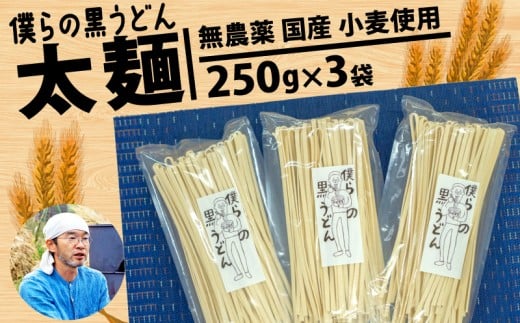 【太麺】黒うどん 250g 3袋 750g 乾麺 無農薬 麦 国産 小麦粉 うどん 麺 僕らの黒うどん 僕らの集会所 埼玉県 羽生市