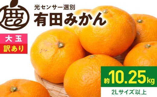 
                   家庭用 訳あり 有田みかん 約 10kg サイズ混合 傷み補償 250g 果汁 濃縮 濃厚 光センサー選果 農家直送 大玉 みかん フルーツ 果物 柑橘 お取り寄せ 和歌山県 湯浅町 送料無料 _ZH7120
                